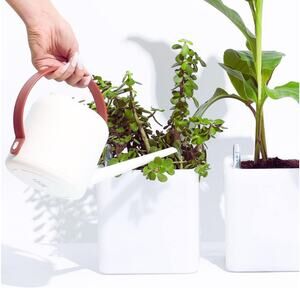 Illuminated Self Watering Planter, 16 Color LED Ambient Mood Light, Rechargeable